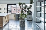 12-rhizomatiks-office-by-schemata-architects.jpg